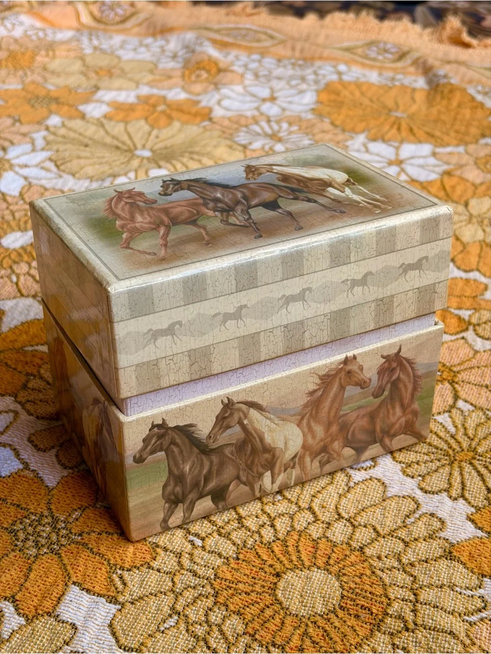 🐎🌾✨ Vintage Y2K Horse Recipe Box ✨🌾🐎